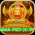 X555 Pro New